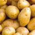 pomme_de_terre.jpg