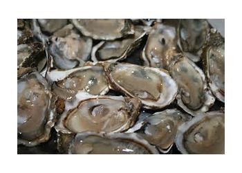 HUITRES DE BOUZIGUES